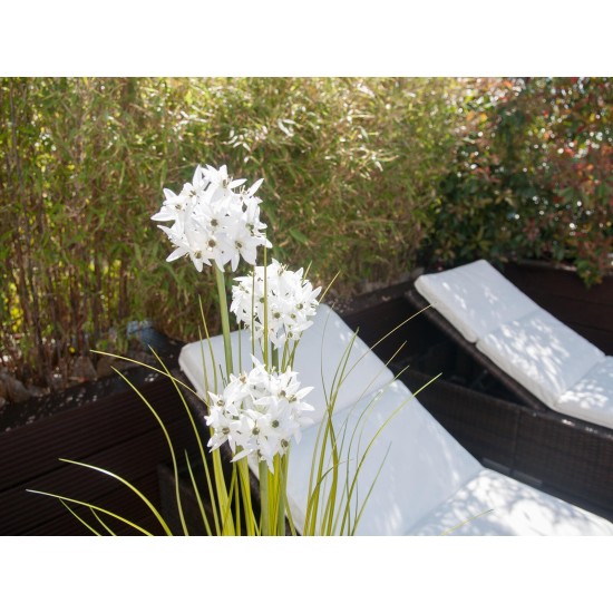 EUROPALMS Allium Grass Artificiale Bianco 120 cm - Pianta Ornamentale in Vaso