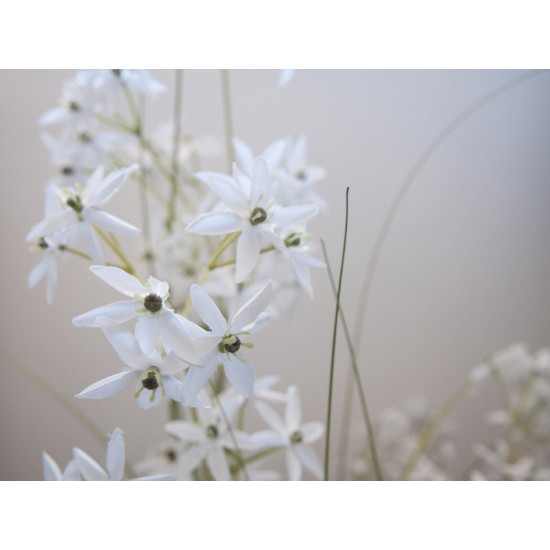 EUROPALMS Jasmin Grass Artificiale Bianco 130 cm per Decorazioni Moderne