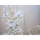 EUROPALMS Jasmin Grass Artificiale Bianco 130 cm per Decorazioni Moderne