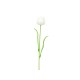 EUROPALMS Tulipano Artificiale Bianco 61cm - Decorazione Flessibile per Esterni