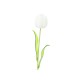EUROPALMS Tulipano Artificiale Bianco 61cm - Decorazione Flessibile per Esterni