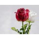 Fiore Artificiale EUROPALMS Crystal Rose Granata 81cm - Decorazione Versatile per Esterni