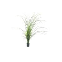 EUROPALMS Canna Palustre Artificiale 145 cm - Decorazione Verde Realistica per Esterni
