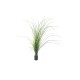 EUROPALMS Canna Palustre Artificiale 145 cm - Decorazione Verde Realistica per Esterni