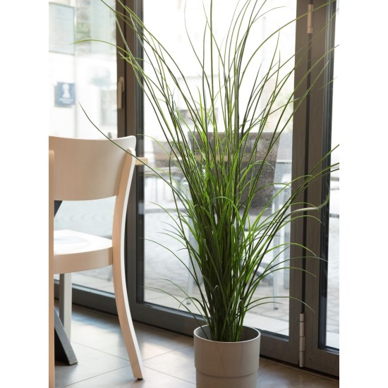 EUROPALMS Canna Palustre Artificiale 145 cm - Decorazione Verde Realistica per Esterni