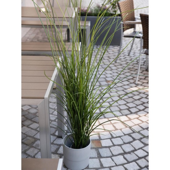 EUROPALMS Canna Palustre Artificiale 145 cm - Decorazione Verde Realistica per Esterni