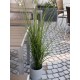 EUROPALMS Canna Palustre Artificiale 145 cm - Decorazione Verde Realistica per Esterni