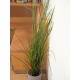 EUROPALMS Canna Palustre Artificiale 145 cm - Decorazione Verde Realistica per Esterni