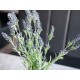 EUROPALMS Cespuglio di Lavanda Artificiale 61cm - Decorazione Mediterranea Lilla