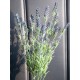 EUROPALMS Cespuglio di Lavanda Artificiale 61cm - Decorazione Mediterranea Lilla