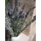 EUROPALMS Cespuglio di Lavanda Artificiale 61cm - Decorazione Mediterranea Lilla
