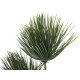 Pianta Artificiale EUROPALMS Papiro 100 cm - Decorazione da Interni ed Esterni in PE