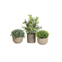 Set di Piante Artificiali in Vaso Decorativo EUROPALMS - Stile Mediterraneo, Verde Scuro, Pronte al Posizionamento