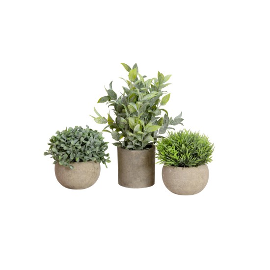 Set di Piante Artificiali in Vaso Decorativo EUROPALMS - Stile Mediterraneo, Verde Scuro, Pronte al Posizionamento