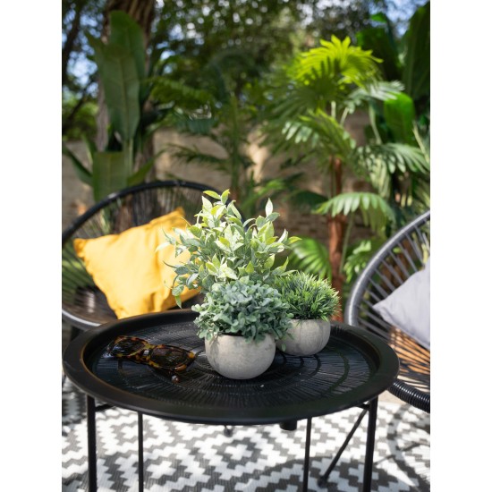 Set di Piante Artificiali in Vaso Decorativo EUROPALMS - Stile Mediterraneo, Verde Scuro, Pronte al Posizionamento