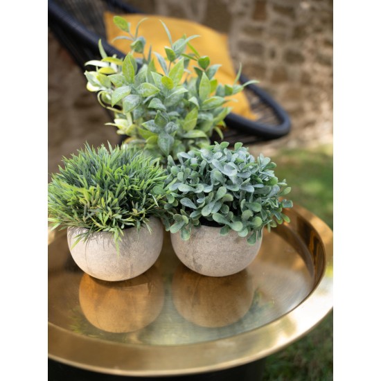 Set di Piante Artificiali in Vaso Decorativo EUROPALMS - Stile Mediterraneo, Verde Scuro, Pronte al Posizionamento