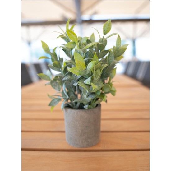 Set di Piante Artificiali in Vaso Decorativo EUROPALMS - Stile Mediterraneo, Verde Scuro, Pronte al Posizionamento