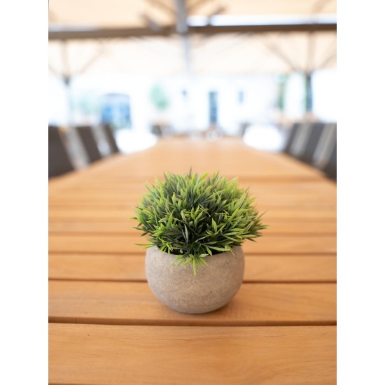 Set di Piante Artificiali in Vaso Decorativo EUROPALMS - Stile Mediterraneo, Verde Scuro, Pronte al Posizionamento