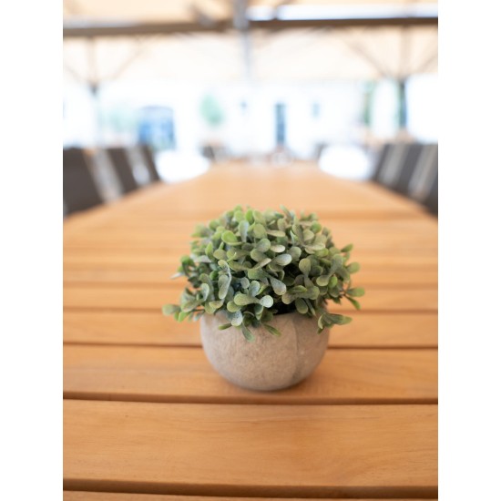 Set di Piante Artificiali in Vaso Decorativo EUROPALMS - Stile Mediterraneo, Verde Scuro, Pronte al Posizionamento