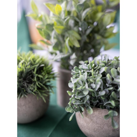 Set di Piante Artificiali in Vaso Decorativo EUROPALMS - Stile Mediterraneo, Verde Scuro, Pronte al Posizionamento