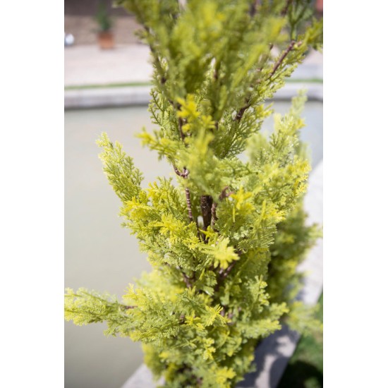 EUROPALMS Cipresso Leyland 90 cm - Pianta Artificiale Realistica per Esterni