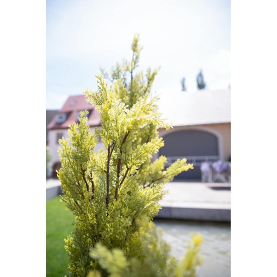 EUROPALMS Cipresso Leyland 90 cm - Pianta Artificiale Realistica per Esterni