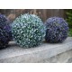 EUROPALMS Sfera Decorativa Artificiale Blu 22cm - Ideale per Esterno