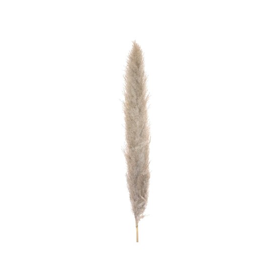 Ramo di Piuma di Pampa Essiccato Naturale 137 cm - Decorazione Mediterranea di Alta Qualità