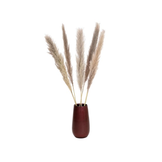 Ramo di Piuma di Pampa Essiccato Naturale 137 cm - Decorazione Mediterranea di Alta Qualità