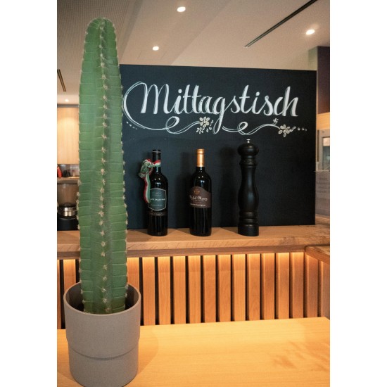 Cactus Messicano Artificiale EUROPALMS, 97 cm - Decorazione Verde per Interni ed Esterni