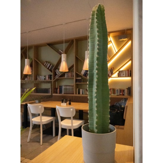 Cactus Messicano Artificiale EUROPALMS, 97 cm - Decorazione Verde per Interni ed Esterni