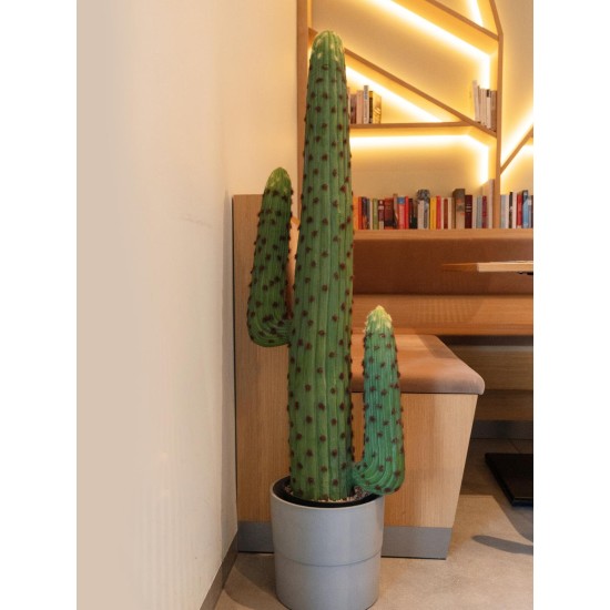 Cactus Messicano Artificiale EUROPALMS 117 cm - Decorazione in Plastica Verde per Esterno