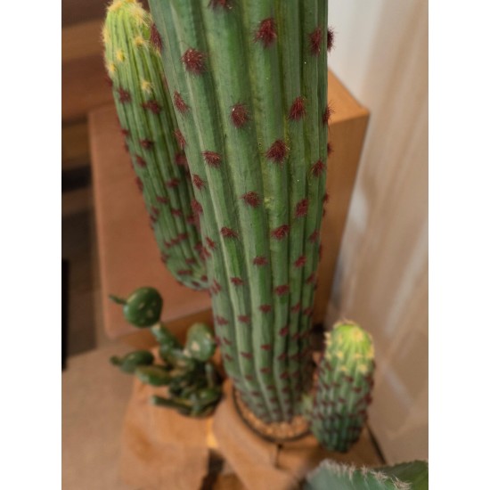 Cactus Messicano Artificiale EUROPALMS 117 cm - Decorazione in Plastica Verde per Esterno