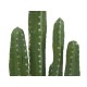 Cactus Artificiale Messicano EUROPALMS 123 cm - Decorazione Verde per Interni ed Esterni
