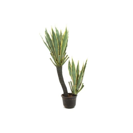 EUROPALMS Orchid-Cactus Artificiale 160cm - Pianta Decorativa da Esterno con Tronco d'Arte