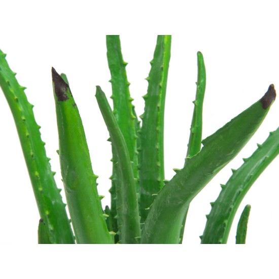 Pianta Artificiale EUROPALMS Aloe Vera 63cm - Decorazioni Verdi per Interni ed Esterni