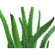 Pianta Artificiale EUROPALMS Aloe Vera 63cm - Decorazioni Verdi per Interni ed Esterni