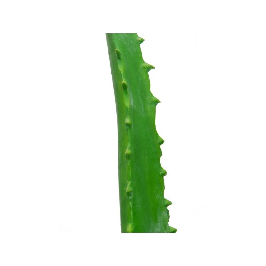 Pianta Artificiale EUROPALMS Aloe Vera 63cm - Decorazioni Verdi per Interni ed Esterni