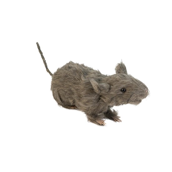 Topo realistico con pelo - decorazione halloween