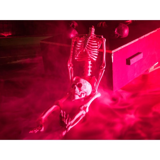 Teschio Halloween Colore Nero