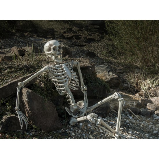 Scheletro Halloween Europalms 150 cm: Decorazione Versatile per Feste a Tema