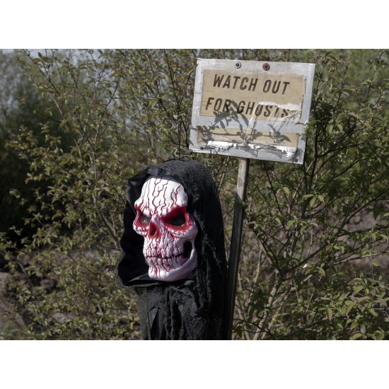 EUROPALMS Teschio Halloween 80 cm con Effetto Luce e Suono, Alimentazione a Batteria