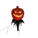 Set di Zucche di Halloween EUROPALMS con Picchetto, 39 cm - Luci Decorative da Giardino