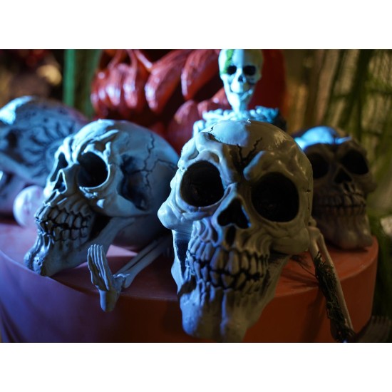 Set di 3 Teschi Halloween EUROPALMS - Decorazione Spaventosa in Plastica