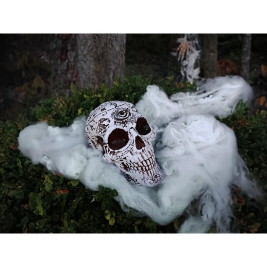 EUROPALMS Teschio Decorativo Mistico per Halloween, 12x10x18 cm