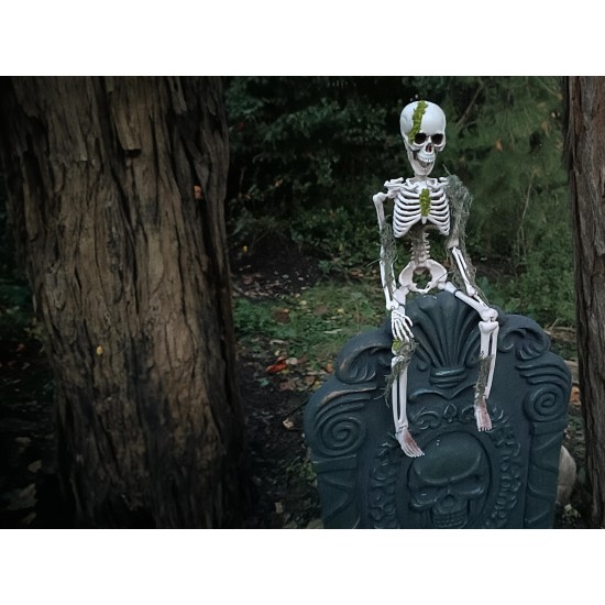 Scheletro di Halloween 40 cm EUROPALMS con Muschio - Decorazione Mobile