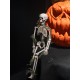 Scheletro di Halloween 40 cm EUROPALMS con Muschio - Decorazione Mobile