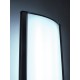 EUROPALMS Lightbox Grande 200x80cm - Colonna Luminosa a LED Doppia Faccia