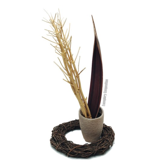 Fennelbunch, dried, gold, ca.160cm