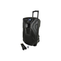 Cassa Acustica Amplificata Karaoke Portatile Ricaricabile con Bluetooth, Radio, USB, SD, MP3, Microfoni Wireless, Ingresso Chitarra, Equalizzatore (15')